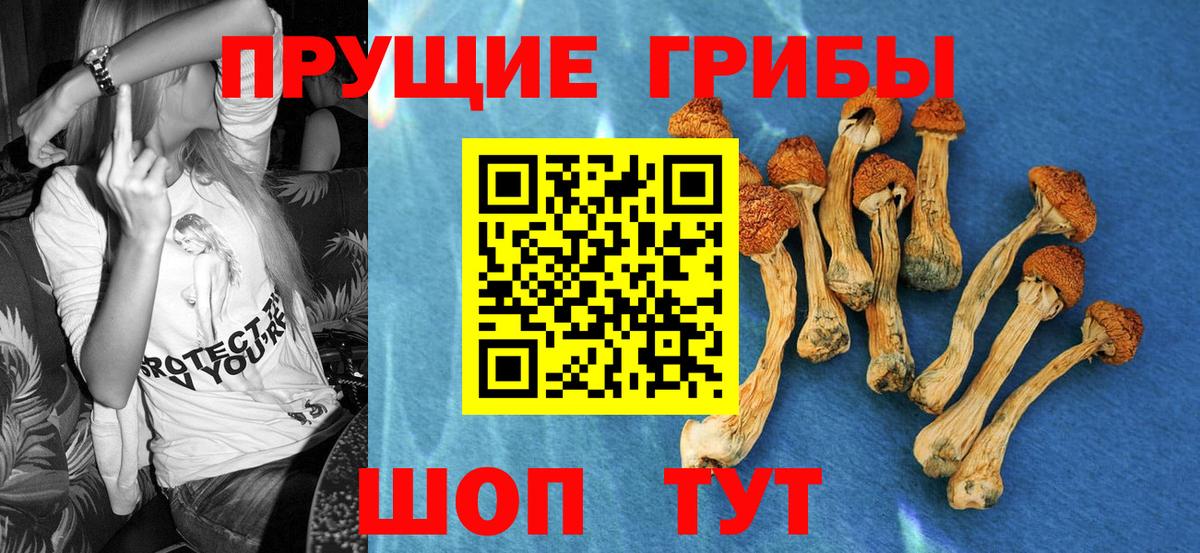 Псилоцибиновые грибы ЛСД Клинцы